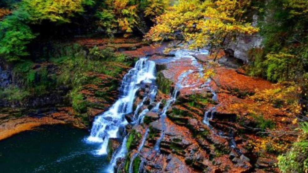 Tranquil Accommodation In A Great Location. 래너크 외부 사진